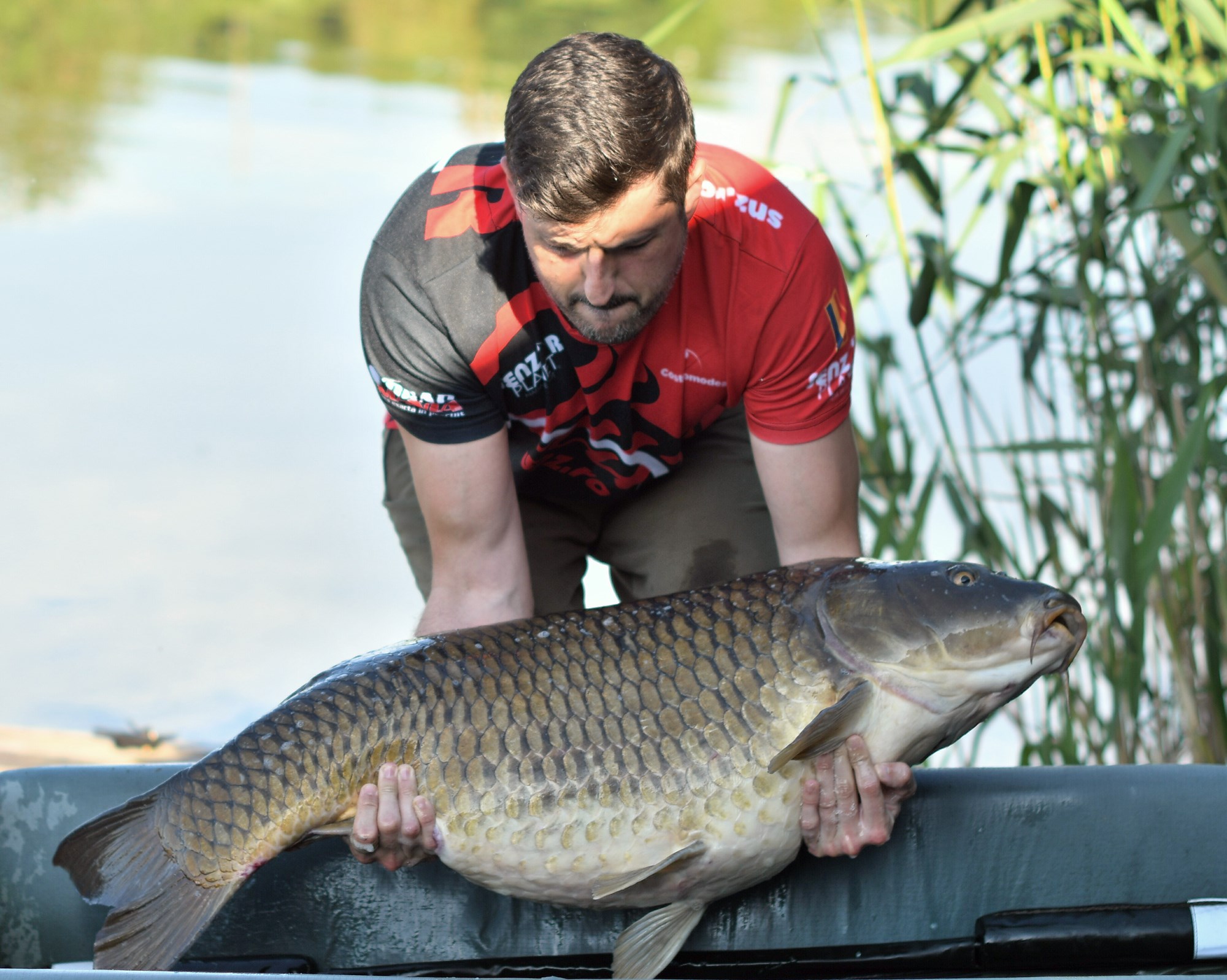 Tancabesti 29 mai - 2 iun. - DSC9617.jpg